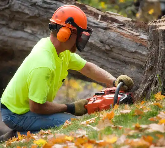 tree services Whittingham